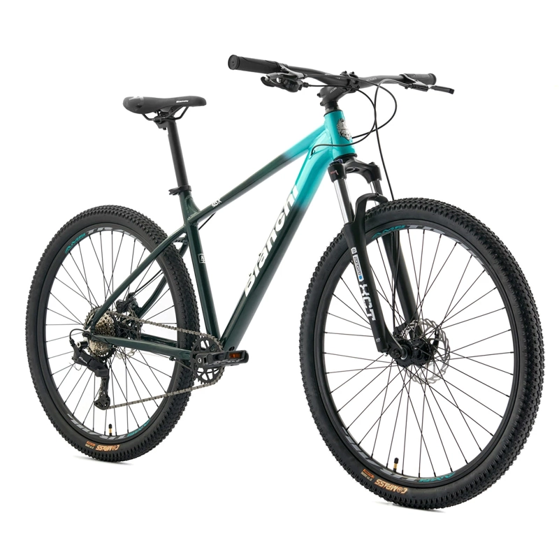 BICICLETA MOUNTAIN BIKE BIANCHI AGGRESSOR TALLA L ARO 29 - 2