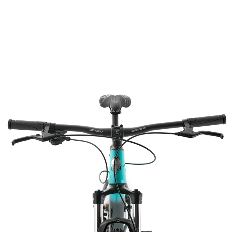 BICICLETA MOUNTAIN BIKE BIANCHI AGGRESSOR TALLA L ARO 29 - 3