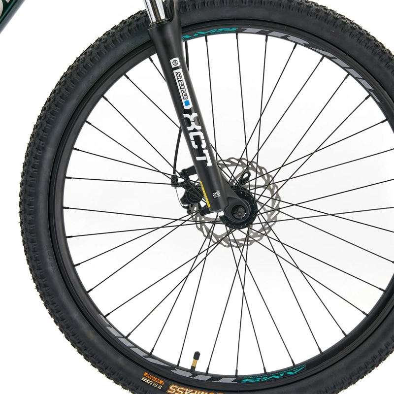 BICICLETA MOUNTAIN BIKE BIANCHI AGGRES ESSA VERDE TALLA M ARO 29 - 4