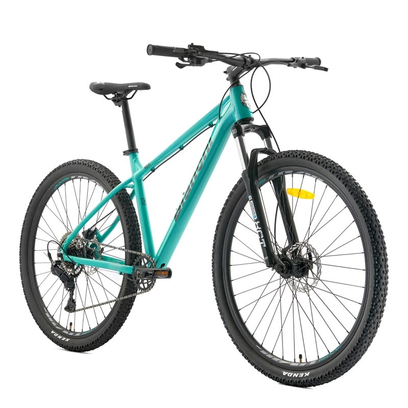 BICICLETA MOUNTAIN BIKE BIANCHI AGGRESSOR R9.1 TALLA M ARO 29 - 2