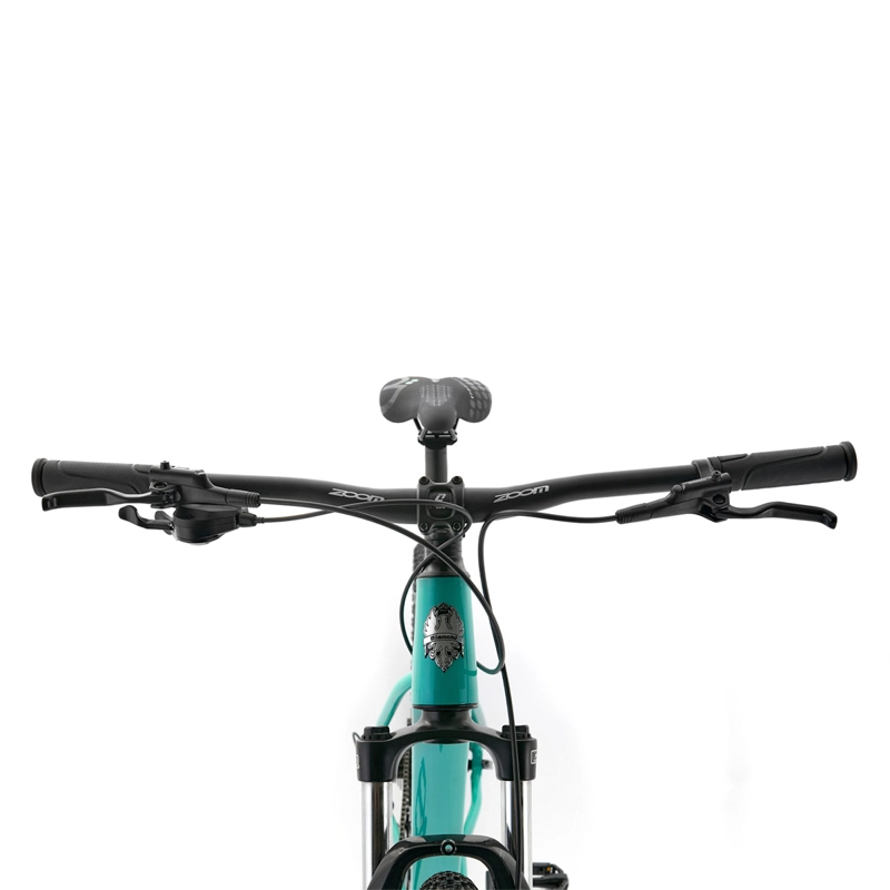 BICICLETA MOUNTAIN BIKE BIANCHI AGGRESSOR R9.1 TALLA M ARO 29 - 3