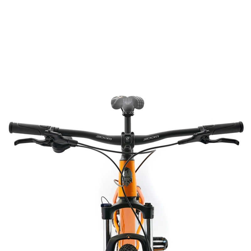 BICICLETA MOUNTAIN BIKE BIANCHI AGGRES R9.1 NARANJO TALLA M ARO 29 - 3