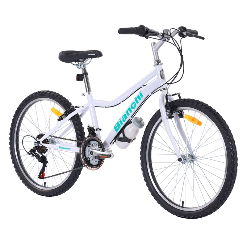 BICICLETA DE PASEO BIANCHI CLASSIC ST LADY ARO 24 - 3