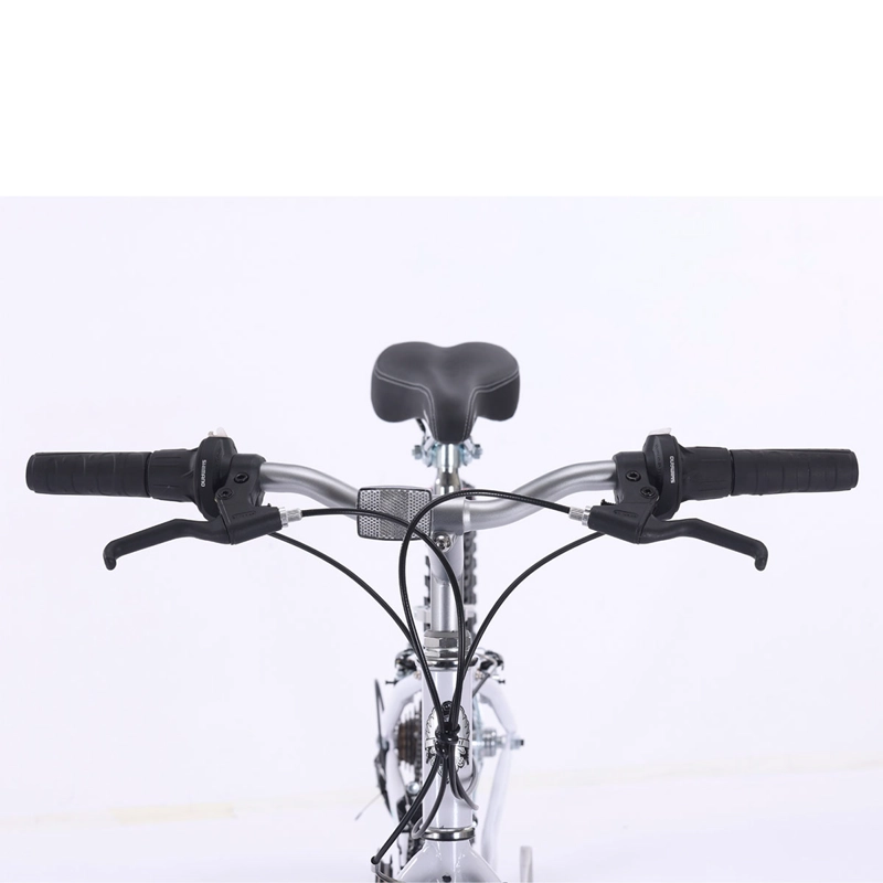 BICICLETA DE PASEO BIANCHI CLASSIC ST LADY ARO 24 - 4