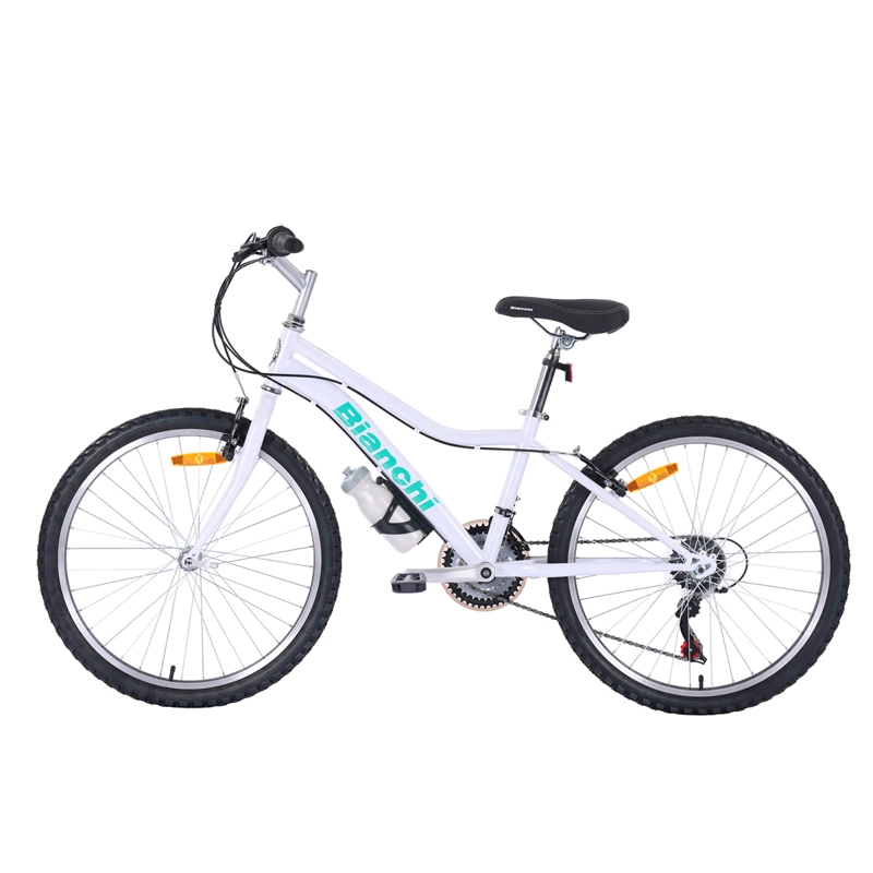 BICICLETA DE PASEO BIANCHI CLASSIC ST LADY ARO 24 - 5