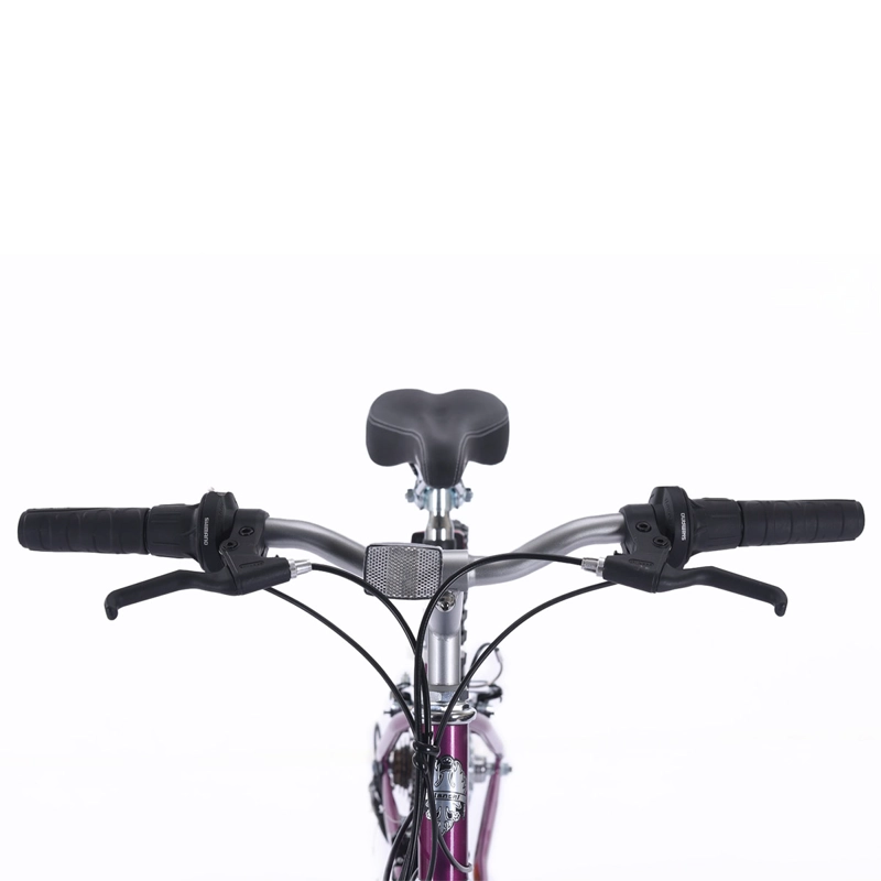 BICICLETA DE PASEO BIANCHI CLASSIC ST LADY ARO 24 - 5