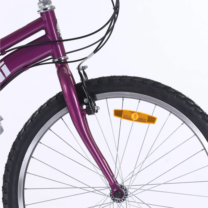 BICICLETA DE PASEO BIANCHI CLASSIC ST LADY ARO 24 - 6