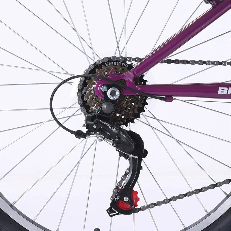 BICICLETA DE PASEO BIANCHI CLASSIC ST LADY ARO 24 - 7