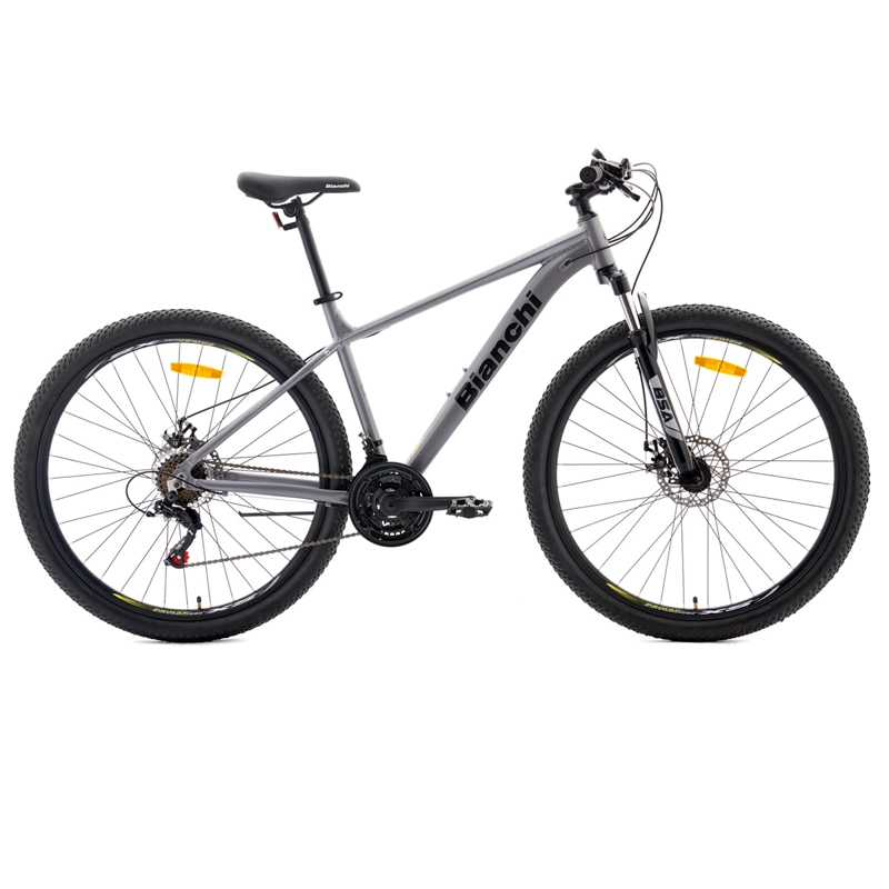 BICICLETA MOUNTAIN BIKE BIANCHI EVOLUTION GRIS PLATA TALLA U ARO 29 - 1
