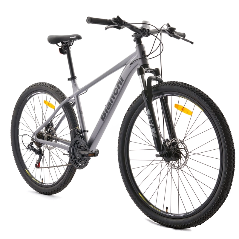 BICICLETA MOUNTAIN BIKE BIANCHI EVOLUTION GRIS PLATA TALLA U ARO 29 - 2