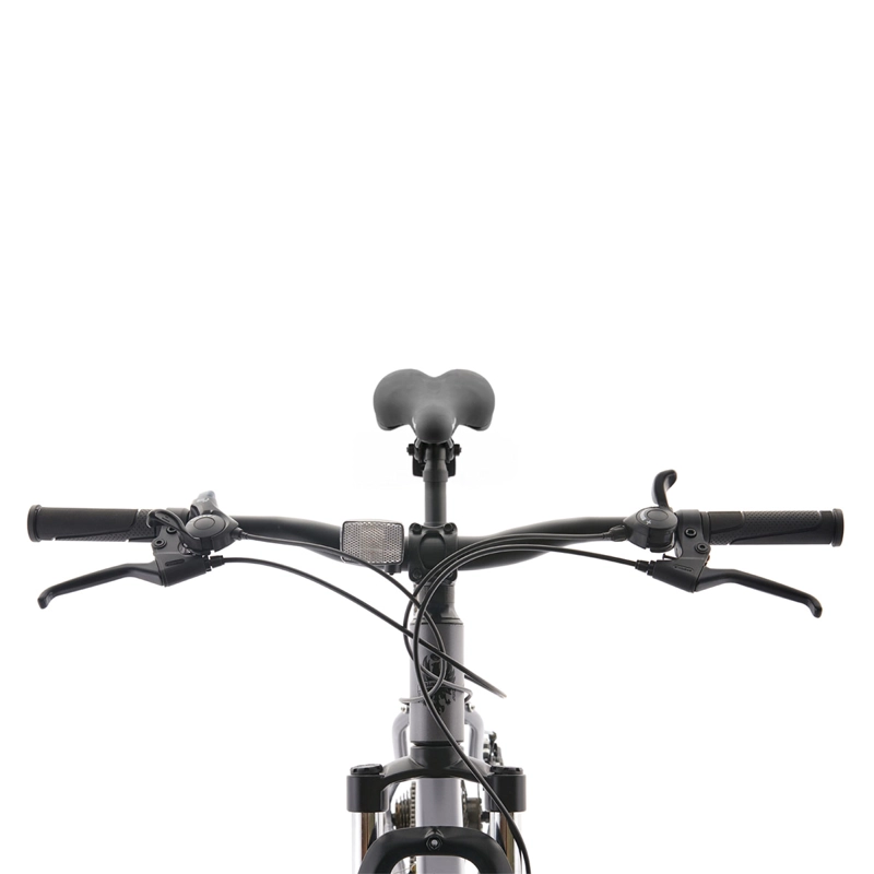 BICICLETA MOUNTAIN BIKE BIANCHI EVOLUTION GRIS PLATA TALLA U ARO 29 - 3