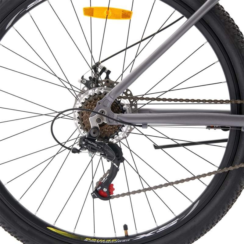 BICICLETA MOUNTAIN BIKE BIANCHI EVOLUTION GRIS PLATA TALLA U ARO 29 - 5