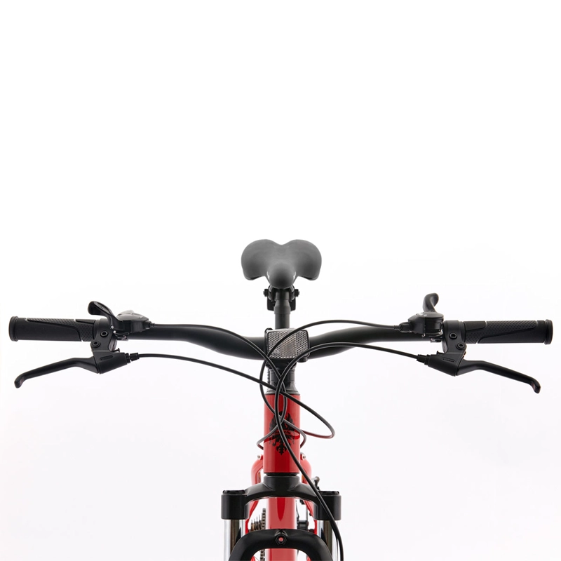 BICICLETA MOUNTAIN BIKE BIANCHI EVOLUTION ROJO TALLA U ARO 29 - 3