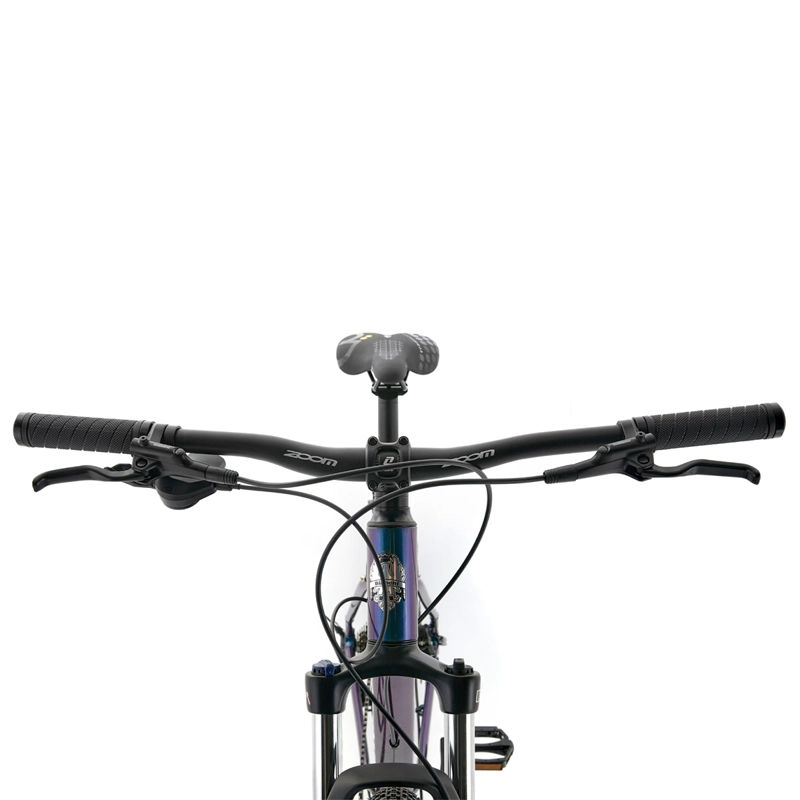 BICICLETA MOUNTAIN BIKE BIANCHI PEREGR CUES TALLA M AZUL ARO 29 - 3