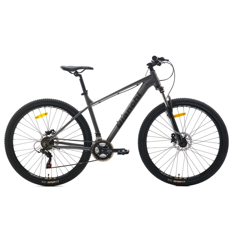BICICLETA MOUNTAIN BIKE BIANCHI STONE R9.1 TALLA L ARO 29 - 1