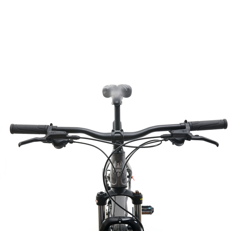 BICICLETA MOUNTAIN BIKE BIANCHI STONE R9.1 TALLA M ARO 29 - 3