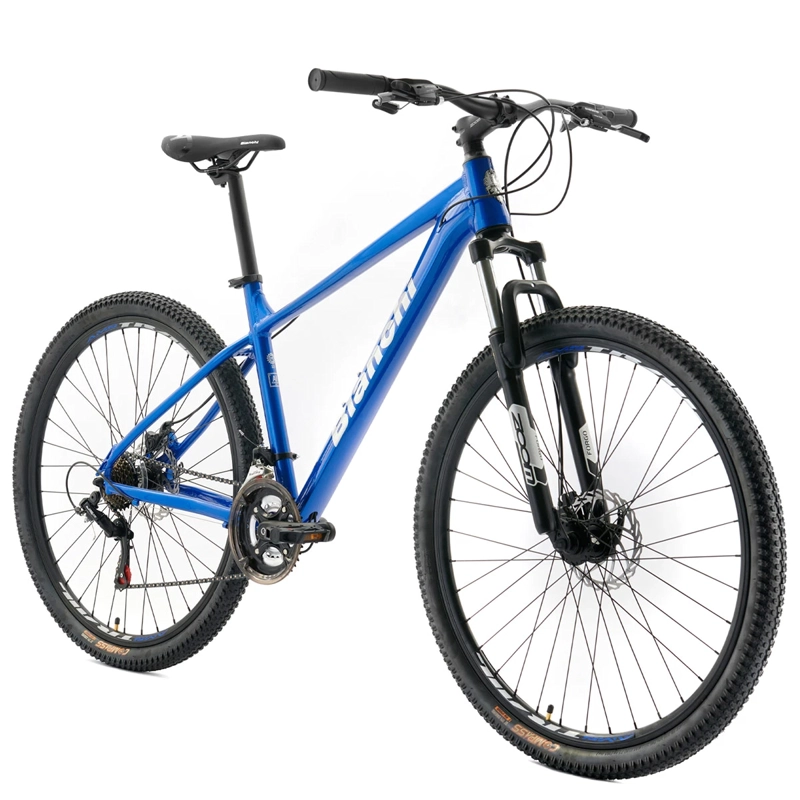 MOUNTAIN BIKE BIANCHI STONE SX TALLA L ARO 29 - 2