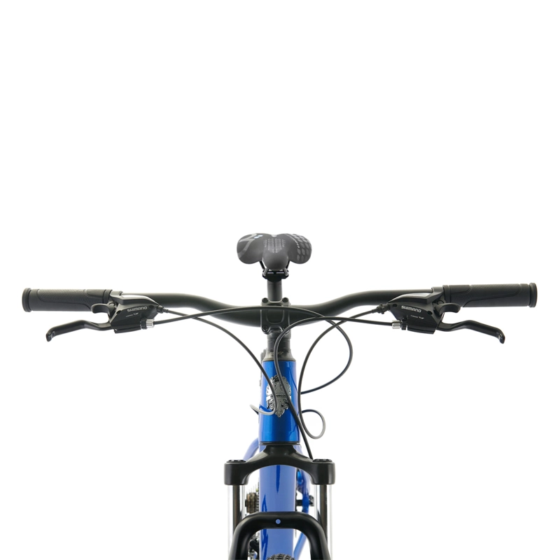 MOUNTAIN BIKE BIANCHI STONE SX TALLA L ARO 29 - 3