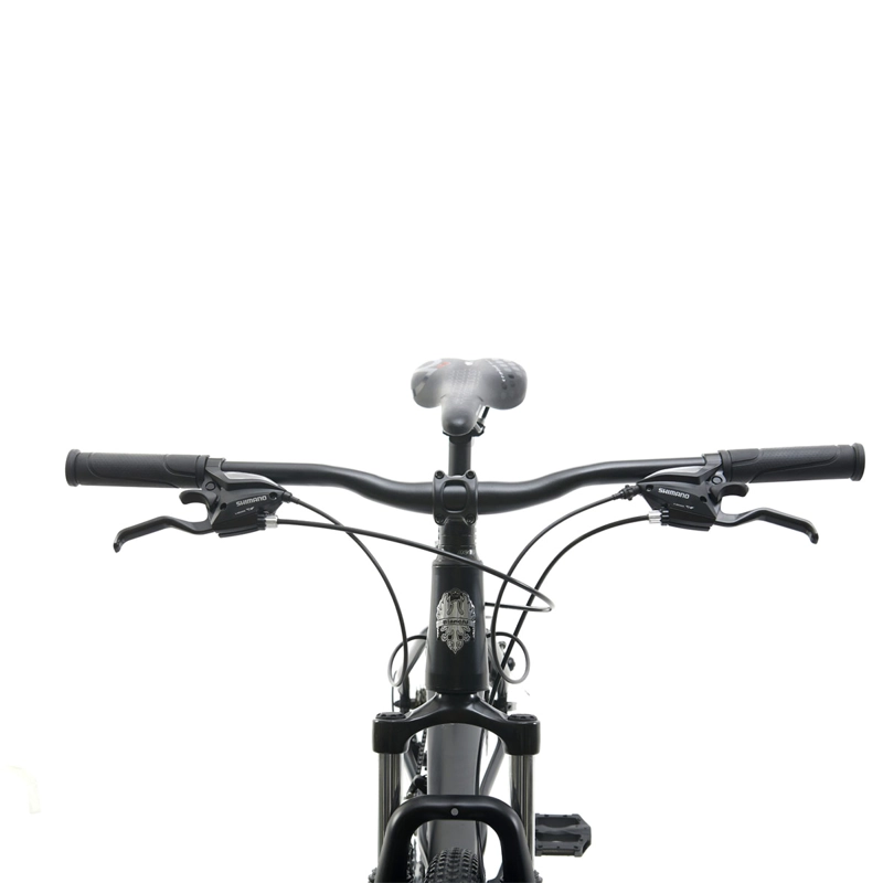 BICICLETA MOUNTAIN BIKE BIANCHI STONE SX TALLA L ARO 29 - 3