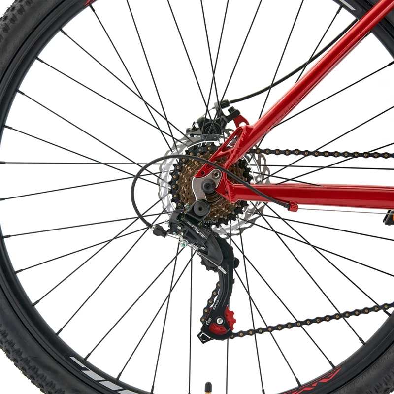 BICICLETA MOUNTAIN BIKE BIANCHI STONE SX TALLA L ARO 29 - 5
