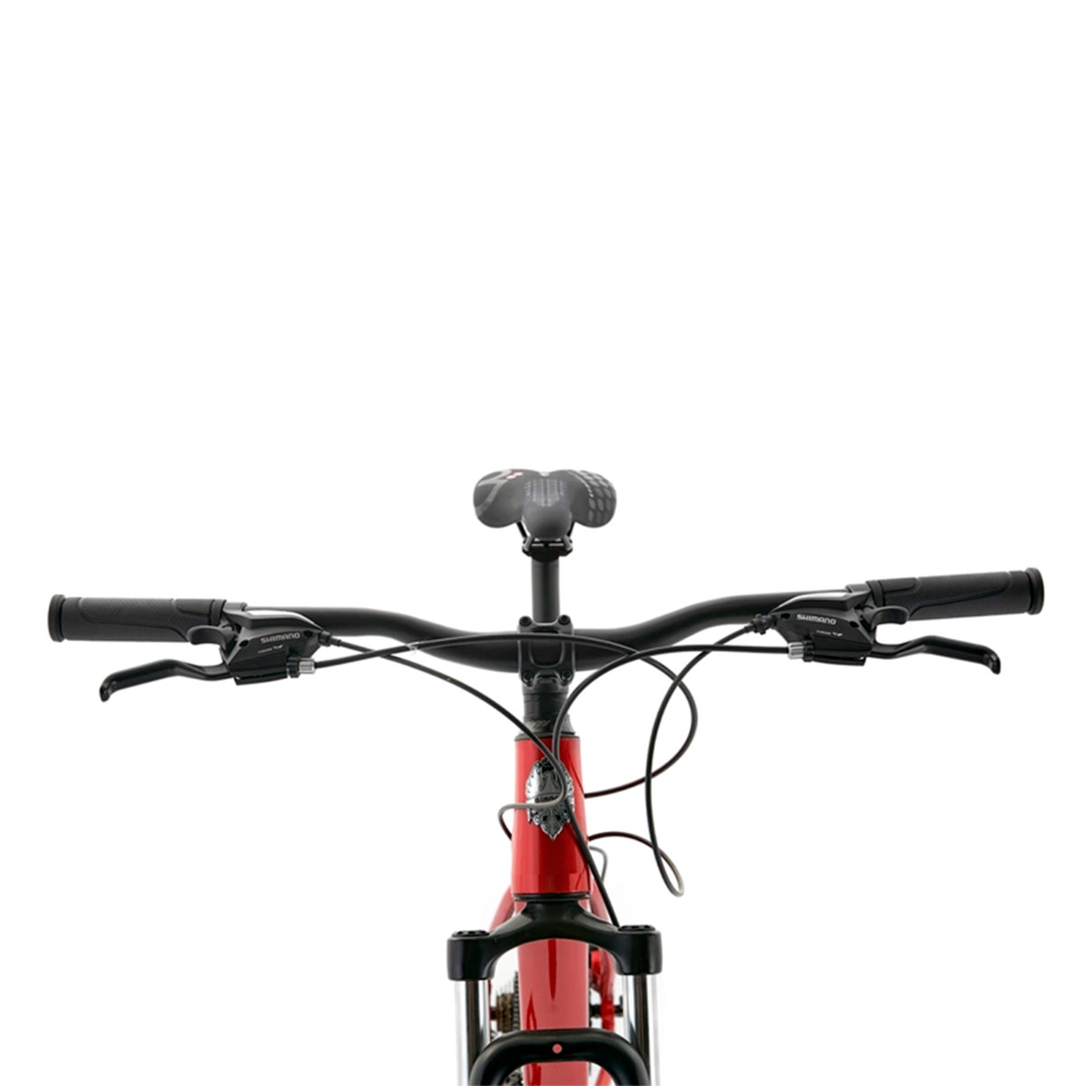 BICICLETA MOUNTAIN BIKE BIANCHI STONE SX TALLA M ARO 29 - 3