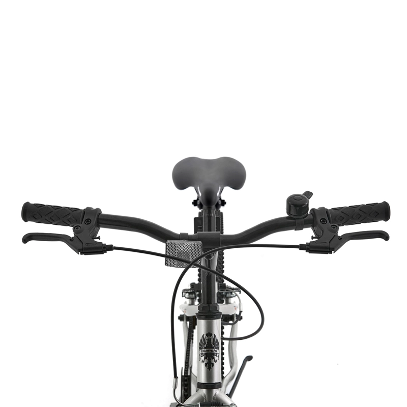 BICICLETA INFANTIL BIANCHI WOLF ST PLATA ARO 20 - 3
