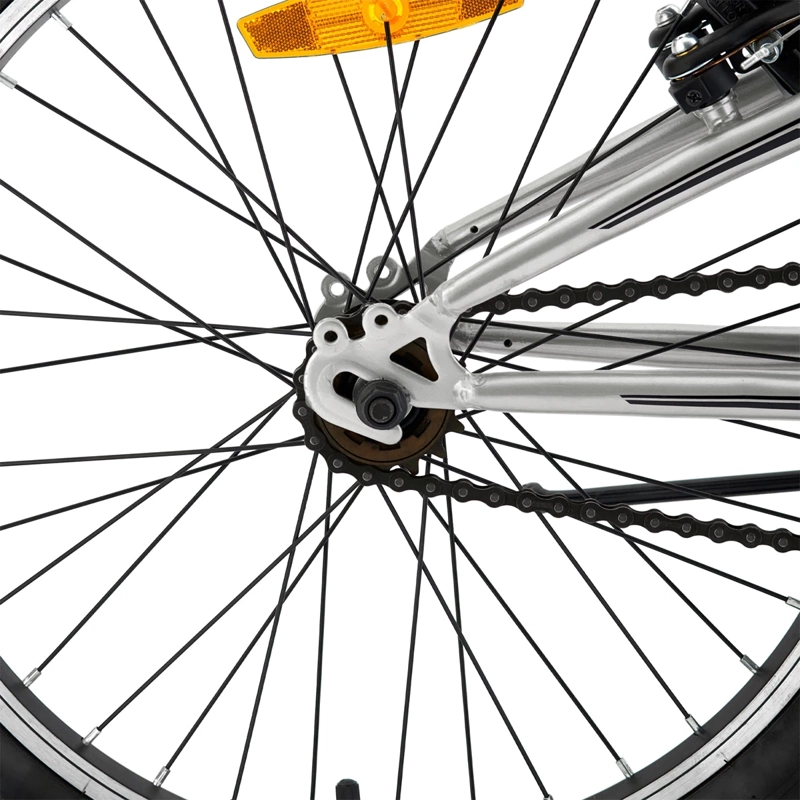 BICICLETA INFANTIL BIANCHI WOLF ST PLATA ARO 20 - 5