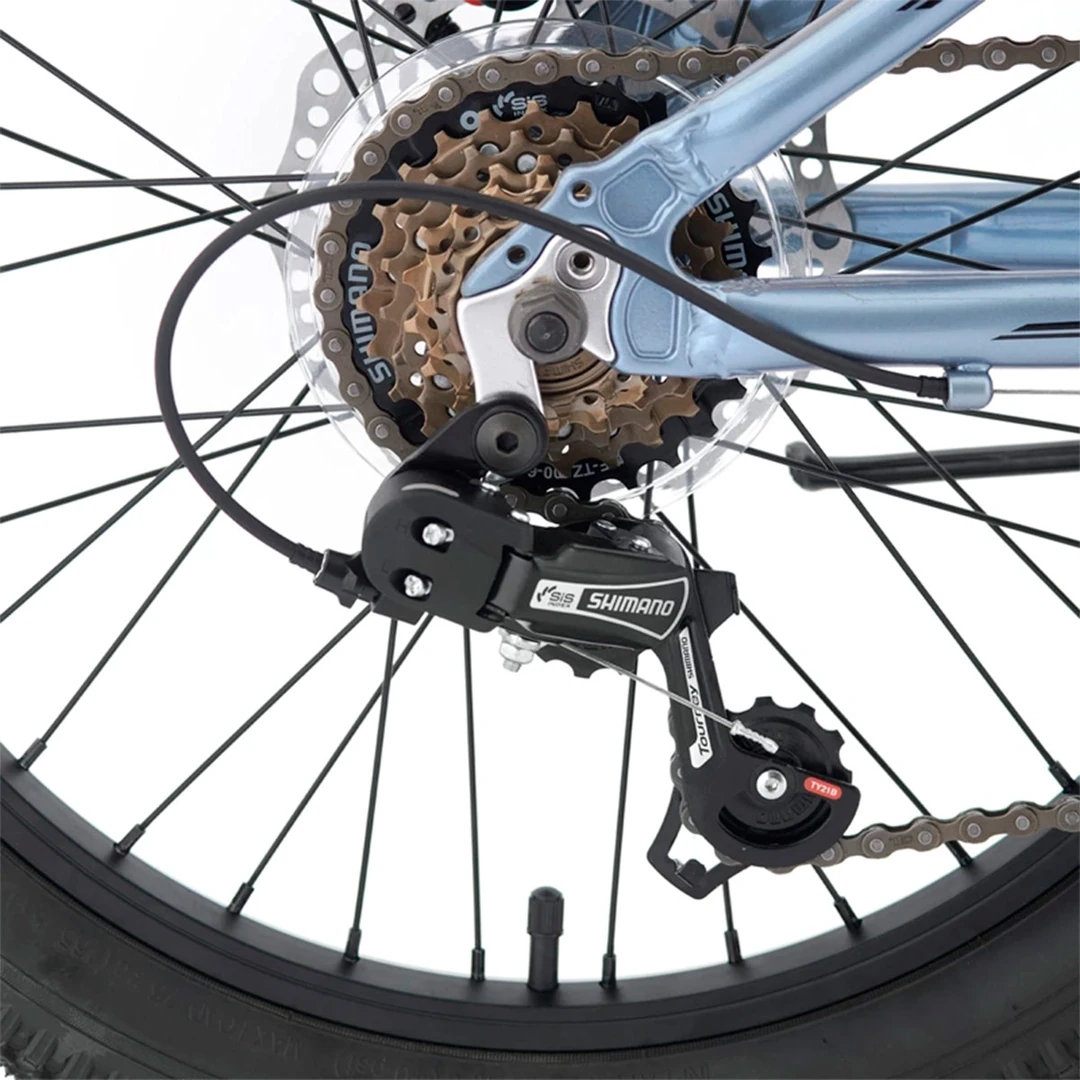 BICICLETA INFANTIL BIANCHI WOLF SX PLATA ARO 20 - 5