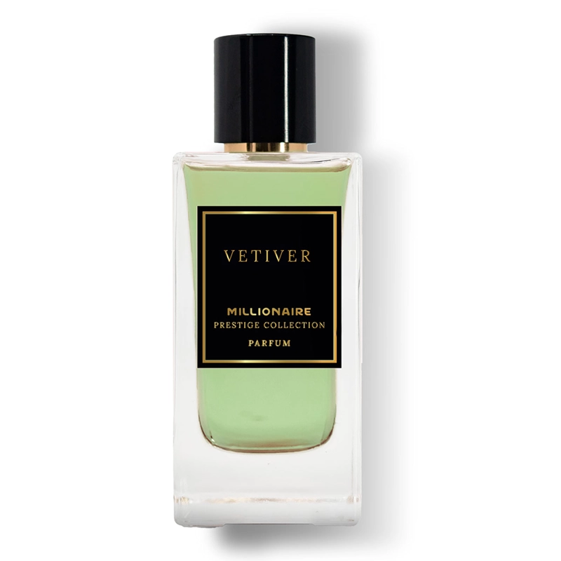 PERFUME MILLIONAIRE VETIVER  HOMBRE EDT 100 ML - 1