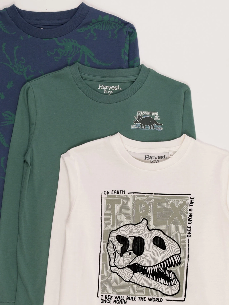 POLERA NIÑO HARVEST TRIPACK - 3