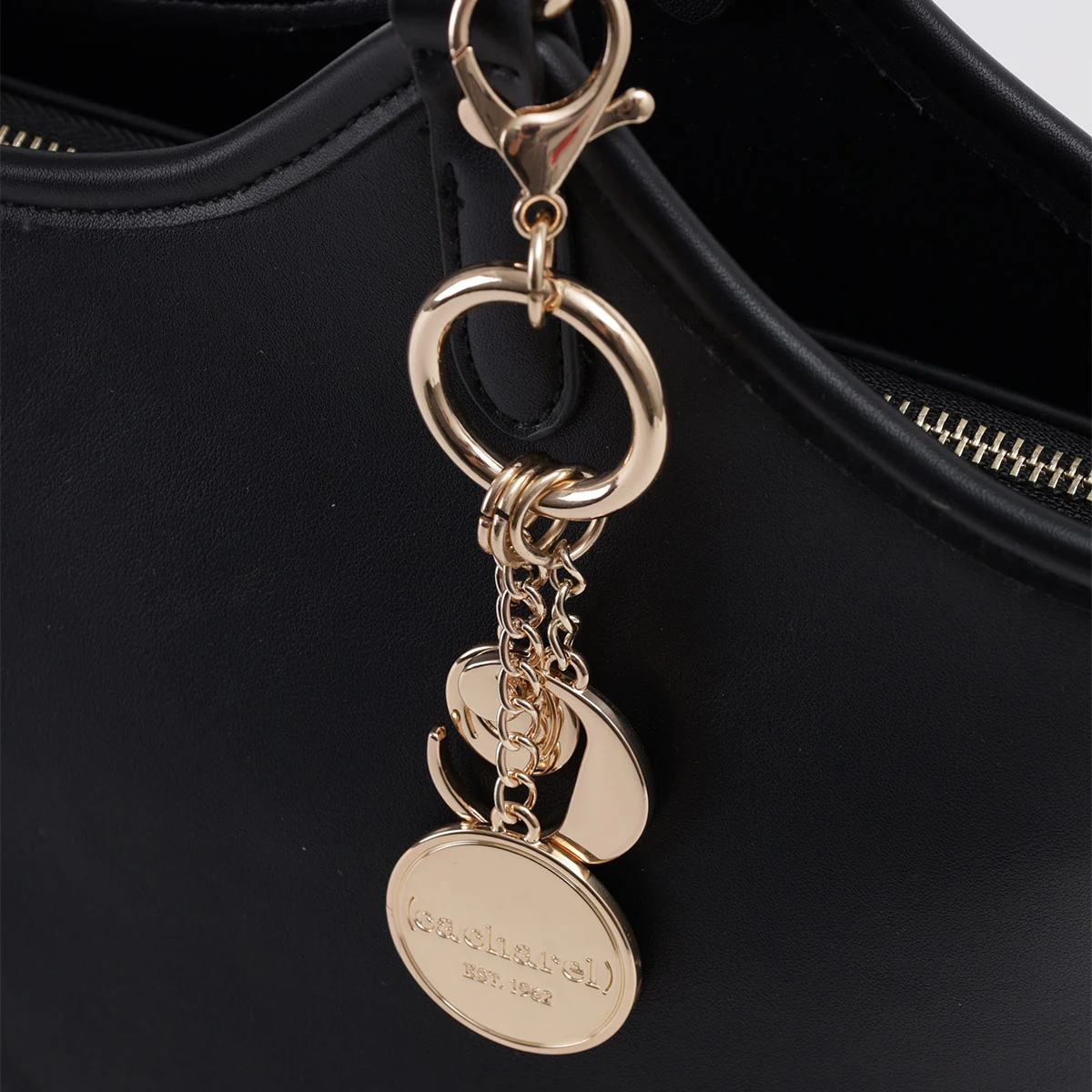 CARTERA CACHAREL CAZU3 - 4