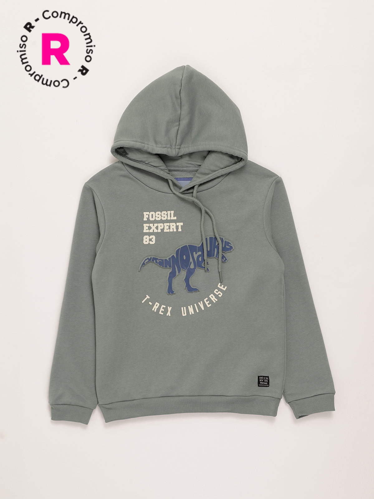 POLERON NIÑO HARVEST REGULAR FIT MANGA LARGA - 1