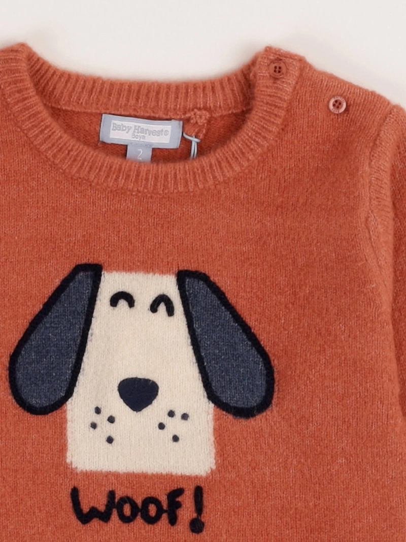 SWEATER NIÑO BABY HARVEST ANIMAL - 3