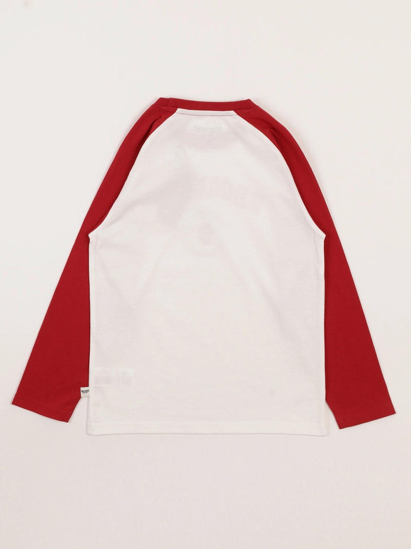 POLERA MANGA LARGA ALGODÓN NIÑO HARVEST FOOTBALL - 2
