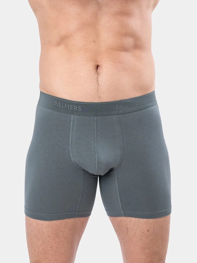 PACK X5 BÓXER HOMBRE PALMERS ALGODÓN MEDIO - 2