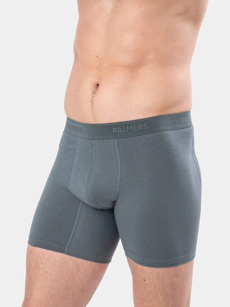 PACK X5 BÓXER HOMBRE PALMERS ALGODÓN MEDIO - 4