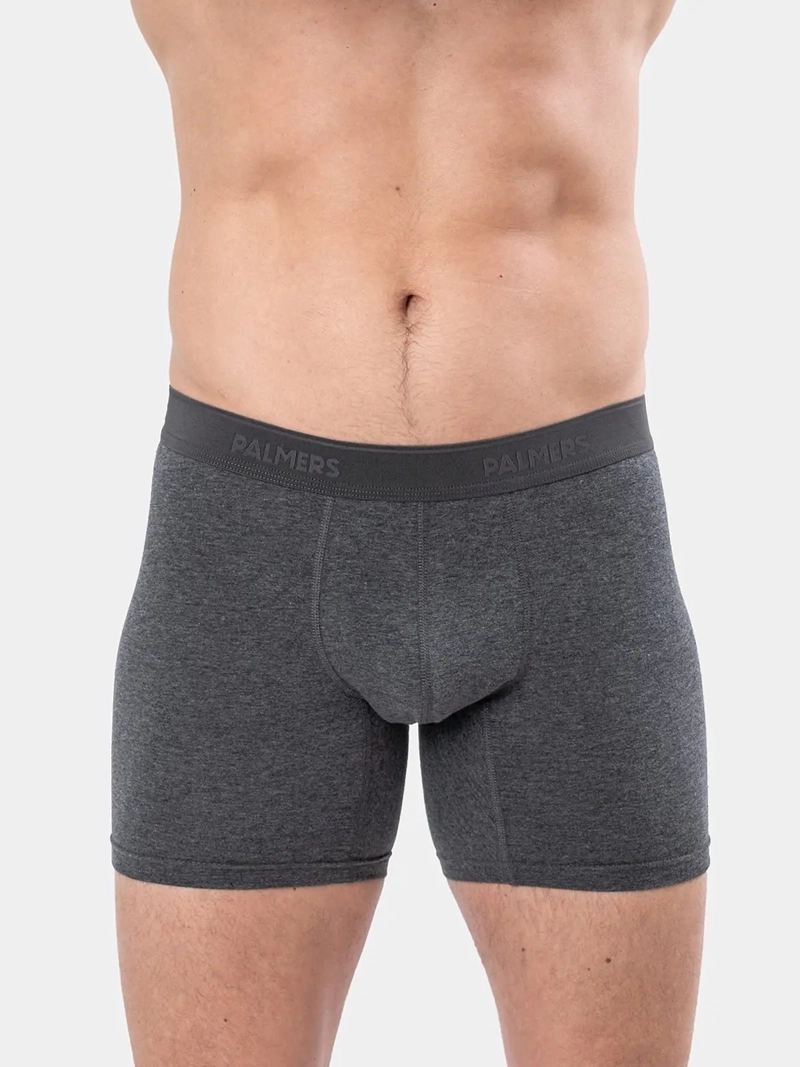 PACK X5 BÓXER HOMBRE PALMERS ALGODÓN MEDIO - 2