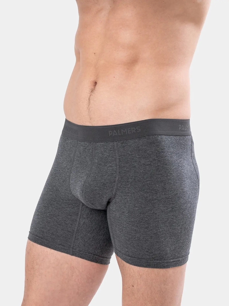 PACK X5 BÓXER HOMBRE PALMERS ALGODÓN MEDIO - 4