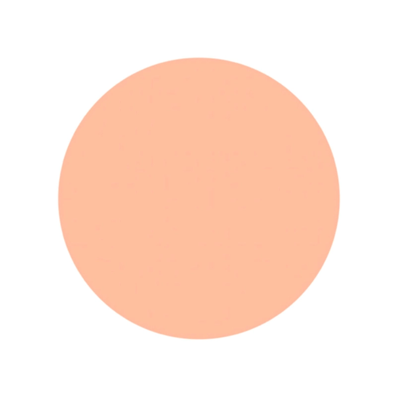 PROTECTOR SOLAR SHISEIDO SUNCARE UV PROTECTIVE COMPACT FOUDATION SPF36 REFILL LIGHT OCHRE 12 GR - 2