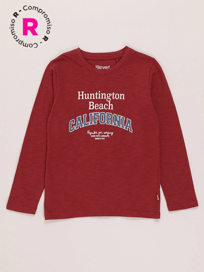 POLERA MANGA LARGA ALGODÓN NIÑO HARVEST ESTAMPADO