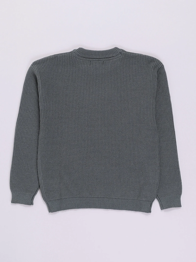 SWEATER NIÑO HARVEST DINO - 2
