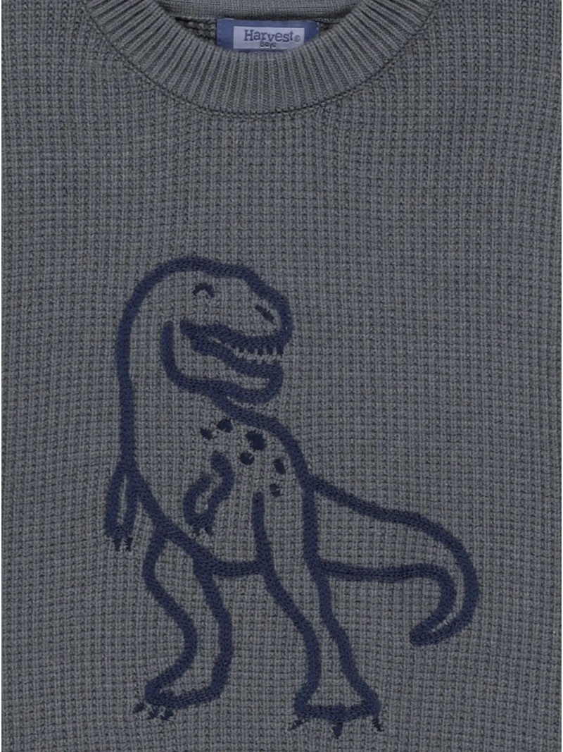 SWEATER NIÑO HARVEST DINO - 3