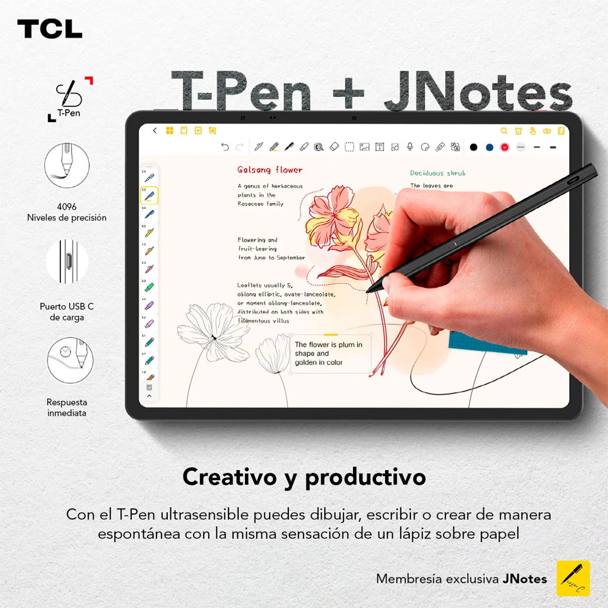 TABLET TCL NXTPAPER 14 14.2” 256GB - 12