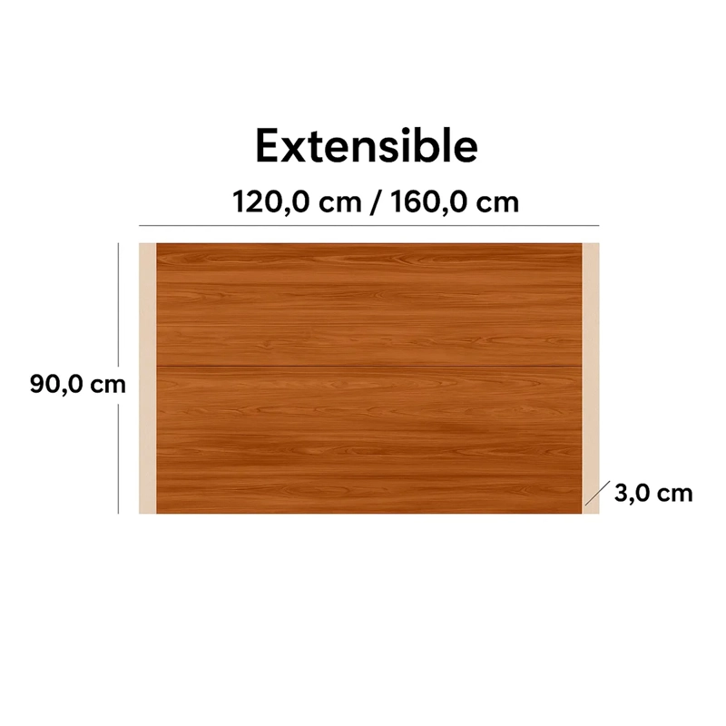 PANEL TV EXIT FRESNO 50" CANELA  - 3