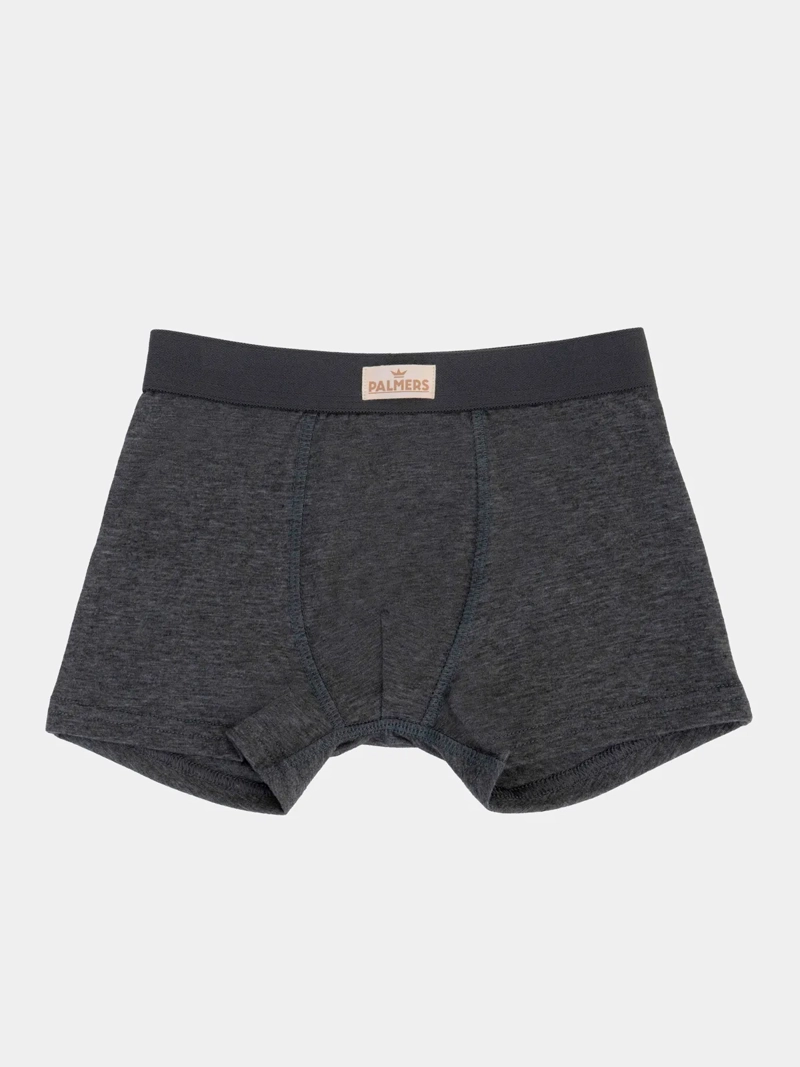 SET BOXER NIÑO PALMERS P397F - 2