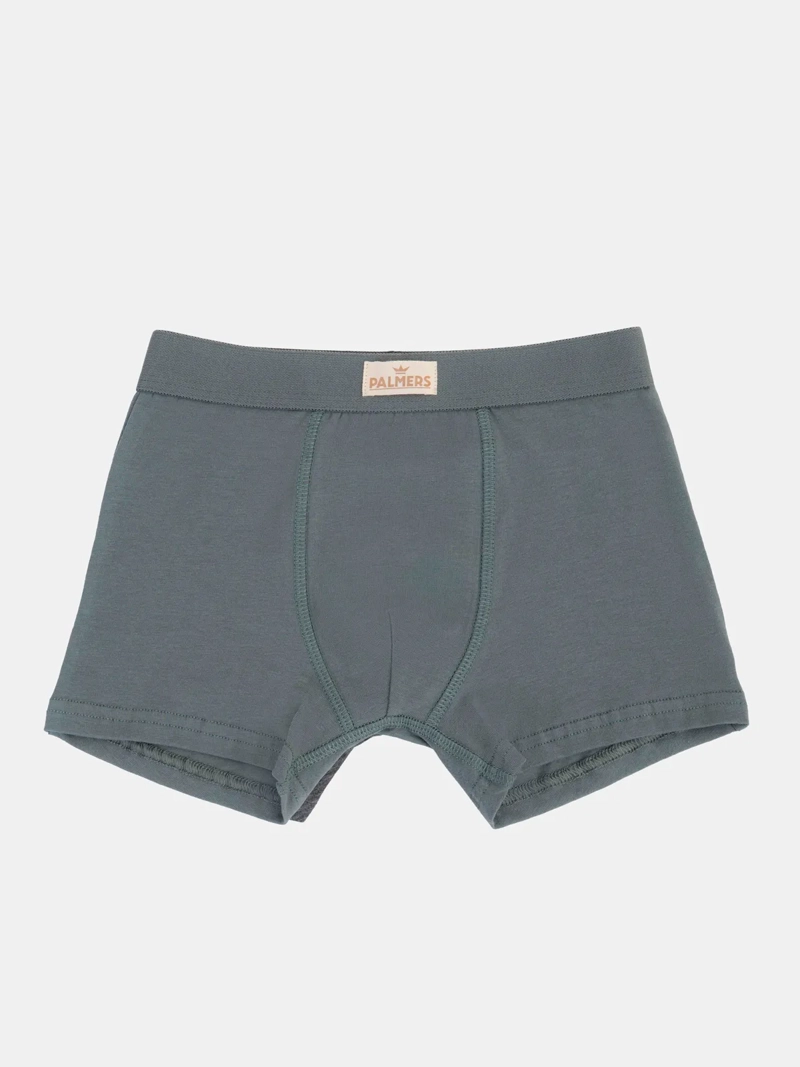 SET BOXER NIÑO PALMERS P397F - 3