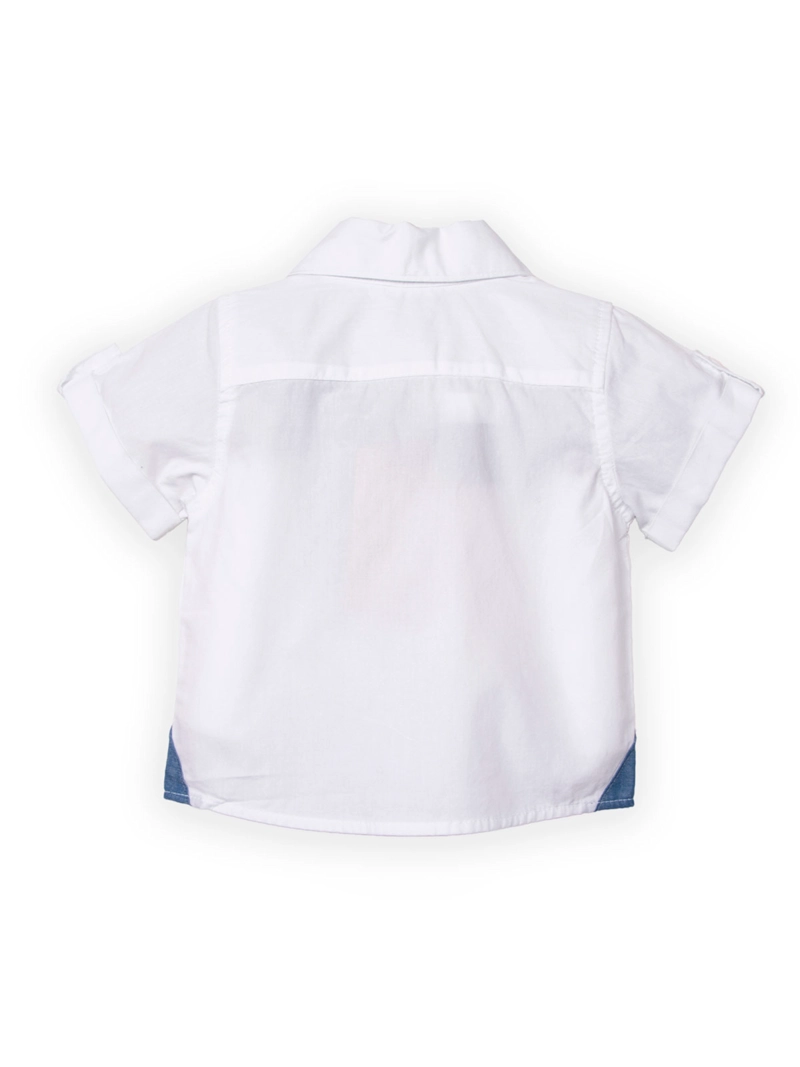 CAMISA MANGA CORTA ALGODÓN NIÑO PILLÍN PVC811-25 - 2
