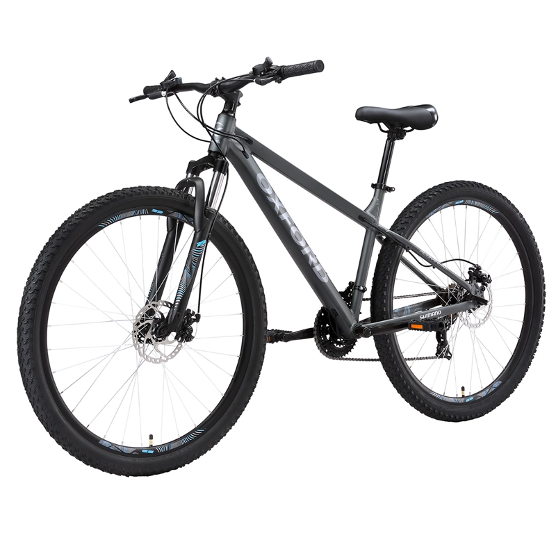 MOUNTAIN BIKE OXFORD BEAST GRAFITO TALLA M ARO 29 - 3