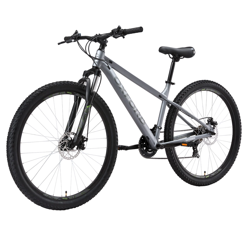MOUNTAIN BIKE OXFORD BEAST TITANIO TALLA M ARO 29 - 3