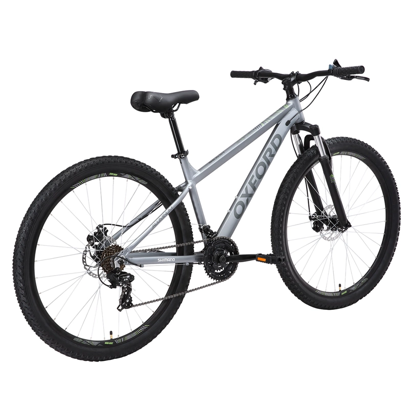 MOUNTAIN BIKE OXFORD BEAST TITANIO TALLA M ARO 29 - 4